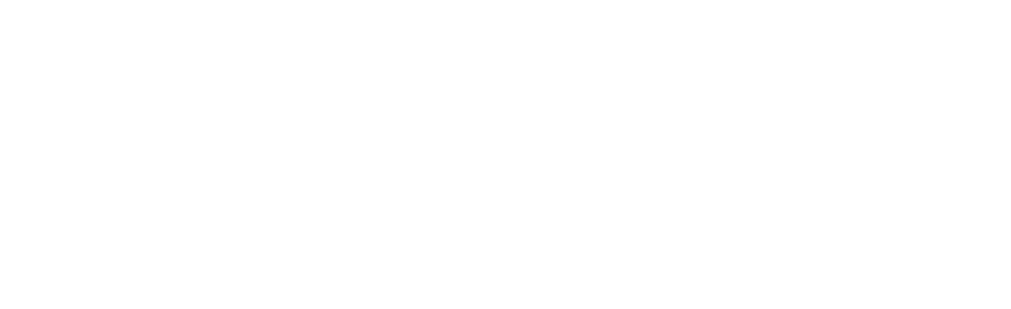 Mucho Burrito